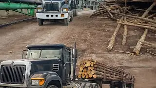 Лесозаготовки на юге || От сосны до лесопилки | В погоне за грузами по южному Миссисипи