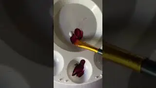 Golden Fluid Acrylic Swatch Test and Review: Color Alizarin Crimson Hue