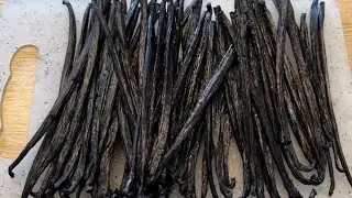 Homemade Vanilla 5 Ways (Alcohol free and alcohol based extracts, powdered, infused oil and paste)