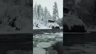 Snowy tale. Снежная сказка.