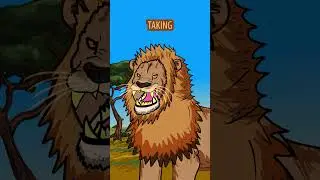Lion VS Golden Lion Tamarin #shorts #lion
