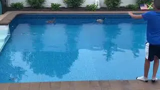 How To Keep Ducks Out Of The Pool