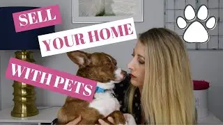 How to Sell a House with Pets at Home