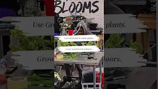 🌱 Shocking Urban Farming Hacks You Won&rsquo;t Believe 🌿 #sustainability #shorts