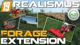 ✅ [LS19] | Realismus Mods | ⚙️ Forage Extension by Farming Agency ⚙️ | Endlich richtig f&uuml;ttern