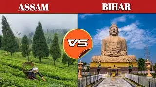 Assam vs Bihar comparison.