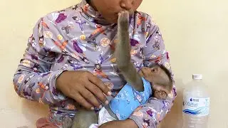 Clever Jason Softly Behavior Touching Mom To Relaxed After Drinking Dutch Milk