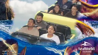 🐬 A Day at SeaWorld San Antonio | Thrills, Shows & Ocean Wonders 🌊