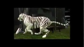 TigerAnimation Project4