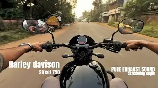 HARLEY DAVIDSON STREET 750 PURE EXHAUST SOUND -ASMR | SCREAMING EAGLE