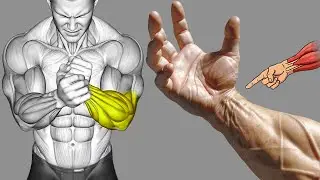 9 Easy Exercises for Hand Grip Strength