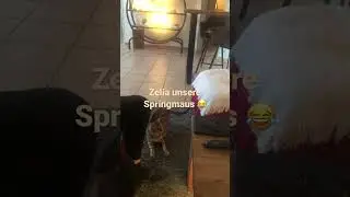 Springmaus Zelia 2023