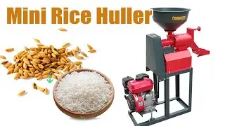 Small and Exquisite! Mini Rice Hulling Machine Operation Demonstration#rice #ricemill