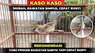 UPDATE KASO KASO HASIL OMBYOKAN❗GAMPANG BANGET BUNYI❗