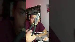 You&rsquo;ve Never Seen Pliers Like This Before! 🦀