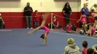 Laila Wahl Level 3 South State Floor Champion 9.8 (2013 All Around Champion)