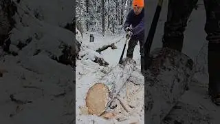 Финский Billnas 1132 в зимней колке бревна.