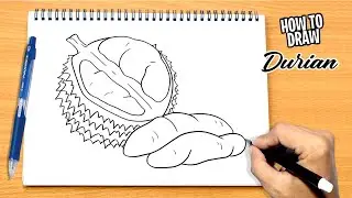 How to draw Durian