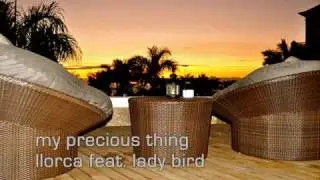 My Precious Thing ~ Llorca feat. Lady Bird
