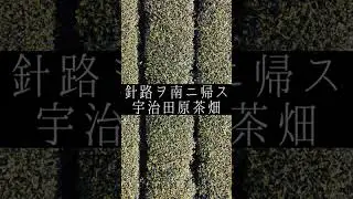 針路ヲ南ニ帰ス〜宇治田原茶畑