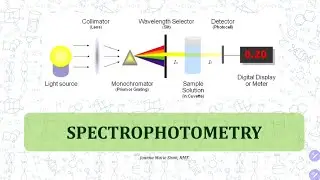 Topic 7: Spectrophotometry