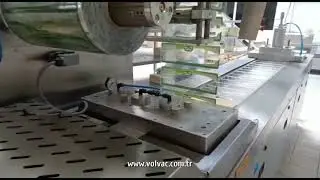 VOLVAC TERMOFORM PAKETLEME MAKİNESİ #3