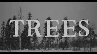 Trees