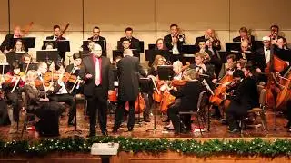 Im Krapfenwaldl, op.366 ~ Johann Strauss ~ Travis Lyons, soloist