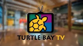 Turtle Bay TV - Season 1 - Episode 3
