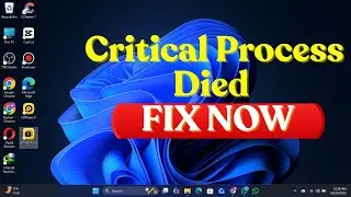 Windows 10/11 Critical Process Died Error &mdash; Real Fix
