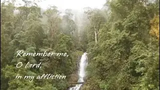 Redeemed, song 56, worship book (orange)