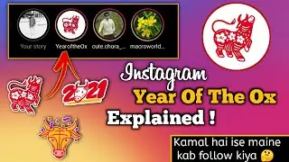 What Is Year Of The Ox On Instagram |  Year Of The Ox 2021 | Instagram Year Of The Ox Kya Hai