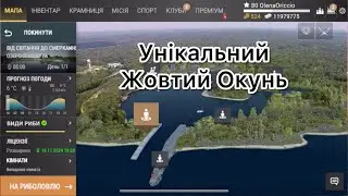 Сент-Круа. Унікальний Жовтий Окунь. Fishing Planet