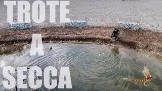 TROTE A SECCA! POMERIGGIO INCREDIBILE A MOSCA! laghi golia