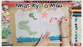 Hôm nay mình sẽ Tô Màu cho sao biển nhé .海星＆魚-着色本-sách tô màu-색칠하기 책-coloring book-สมุดระบายสี