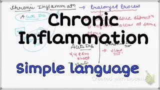 Chronic inflammation pathology  Granulomatous Inflammation  #Chronic_Inflammation #Pathology