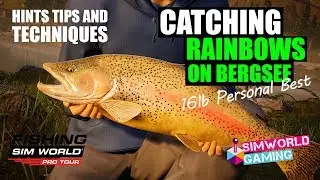 Fishing Sim World Pro Tour - Catching Rainbow Trout on Bergsee // PC Gameplay