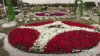 أجواء البصرة معرض الزهور في المدينة الرياضية ملعب جذع النخلة