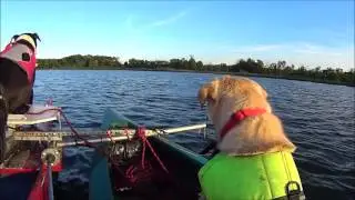 Human Powered Pedal Boat  2016
