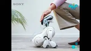 Aibo ers-7 unknown dance