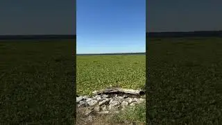 Science Facts- Too much aquatic vegetation kills your fishery
