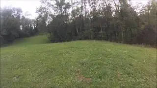 Chasse au sanglier Haute-Savoie 13.10.13.