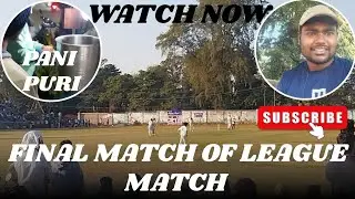 FINAL MATCH OF LEAGUE MATCHS 🏏🏏 || PARCEL DELIVERY || PANI PURI || DAILY VLOG 