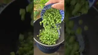 French beans foogath #frenchbeansrecipe #beans #frenchbeans #foogath #palyarecipe #beanspalya