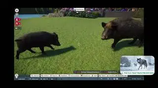 Planet Zoo: Eurasia Pack