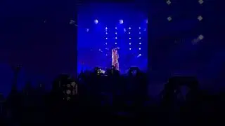 Tove Lo - Attention Whore (Warszawa, 16.11.2022)