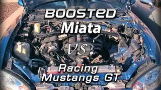 Supercharged Miata vs Mustang GT with race setup