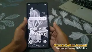 How to Enable Grayscale Mode (Color Correction) on Samsung Galaxy S25 Ultra
