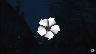TjLaw - On Your Mind [Nightflower Records exclusive]