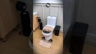Temu Best Home Products with Custom Theme: Touchless Trash Can for a Cleaner Space!